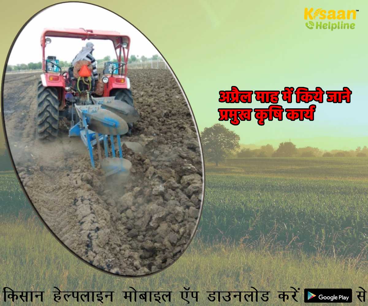 जानिए अप्रैल माह में किये जाने प्रमुख कृषि कार्य